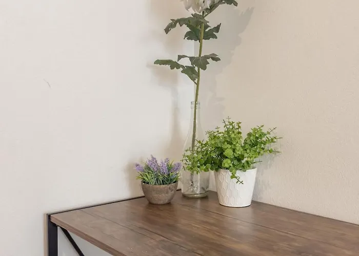 Cozy Urban Rooftop Lounge Free Parking & Wifi